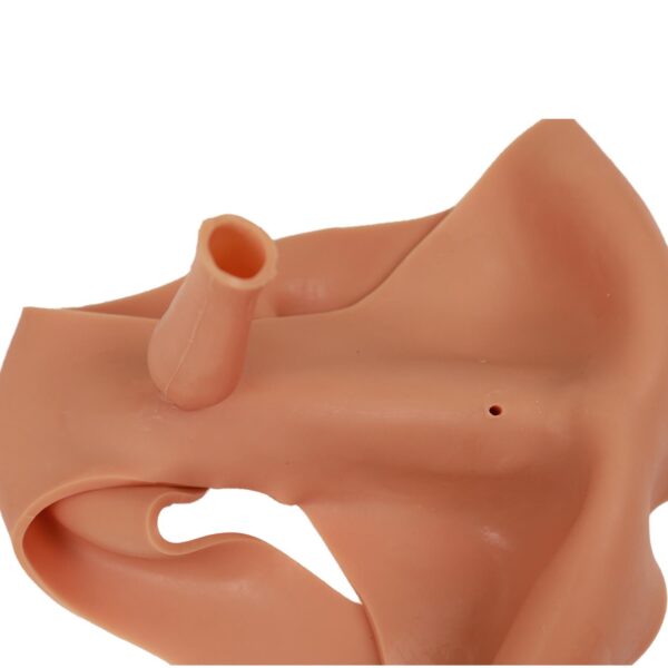 Giyilebilir Silikon Kalça Kumral M5 - Görsel 6