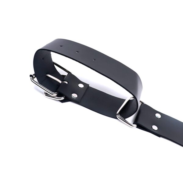 Siyah Deri Kol ve El Bağlama Harness Seti - Görsel 4