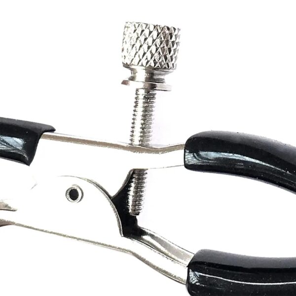 Göğüs Ucu Mandalı - Görsel 2