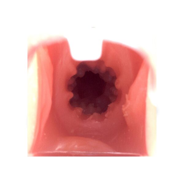 Realistik Dildo Mastürbatör Kalça - Görsel 5