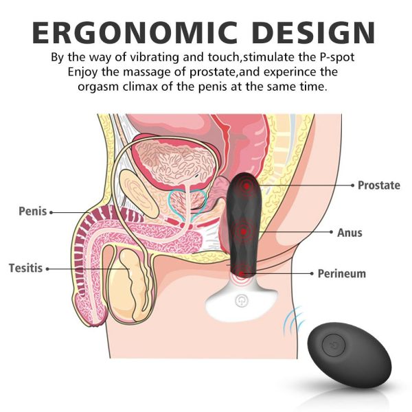 S-Hande Dream RCT Siyah Plug Vibratör - Görsel 4