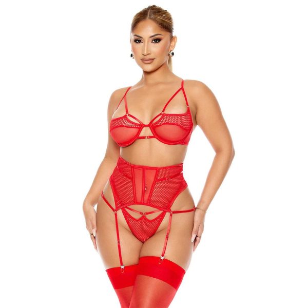 Fantezi File Tül Kadın Jartiyer Kırmızı Takım - Görsel 2