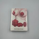 Kumandalı Meme Vibratörü