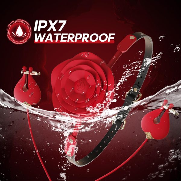 Pembe Tilki Gül Tasarımlı Ağız Tıkacı ve Titreşimli Meme Kıskaç Seti - Görsel 4